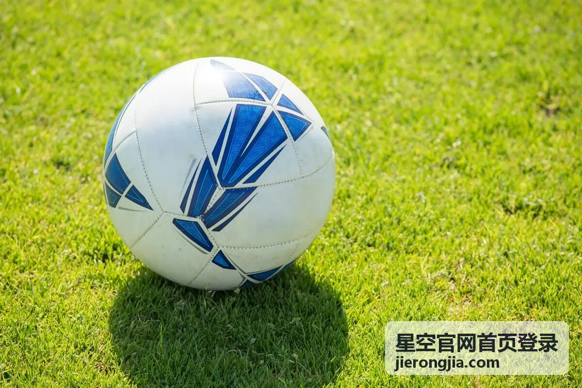 企业用户查看星空官网首页登录问题指南示意图