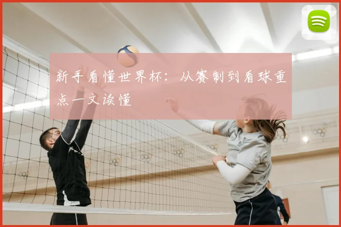 新手看懂世界杯：从赛制到看球重点一文读懂