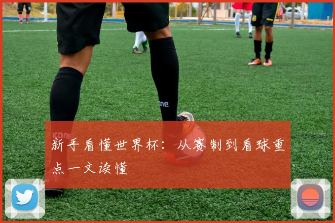 新手看懂世界杯：从赛制到看球重点一文读懂