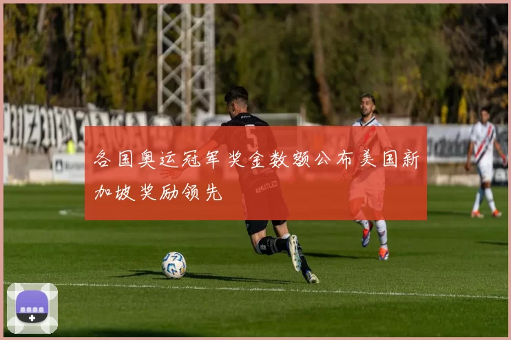 各国奥运冠军奖金数额公布美国新加坡奖励领先