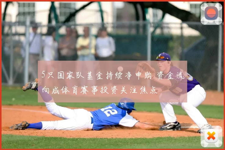 5只国家队基金持续净申购 资金流向成体育赛事投资关注焦点